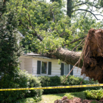 Ensuring Safety: Why You Need Hazardous Tree Removal Services for Your Property