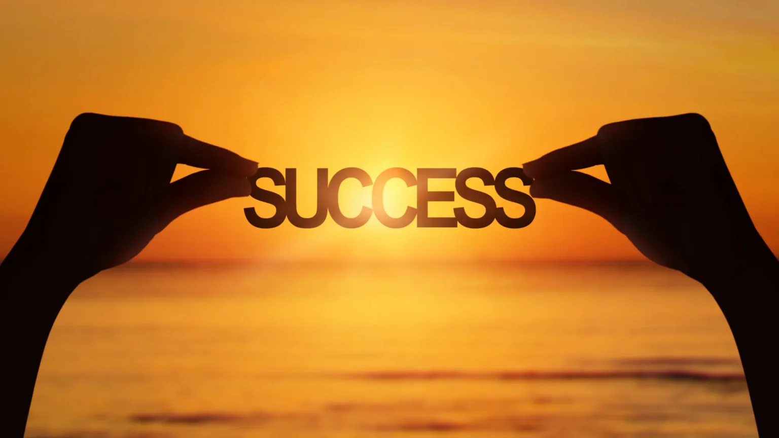 Success100x.com Factors